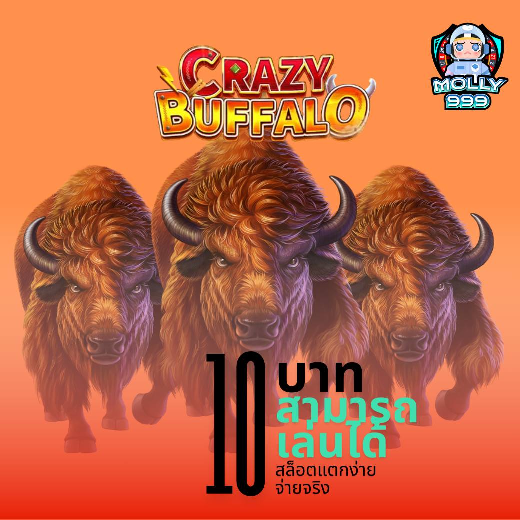 www tiger789 ระบบเดิมพันเข้าถึงง่าย คาสิโนออนไลน์อันดับ 1 ไม่มีติดเทิร์น